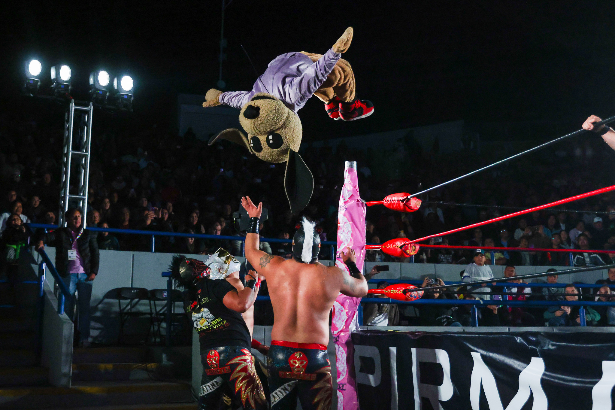 Imagen: pages/imgGaleria/Feria_20260124_165119.jpg