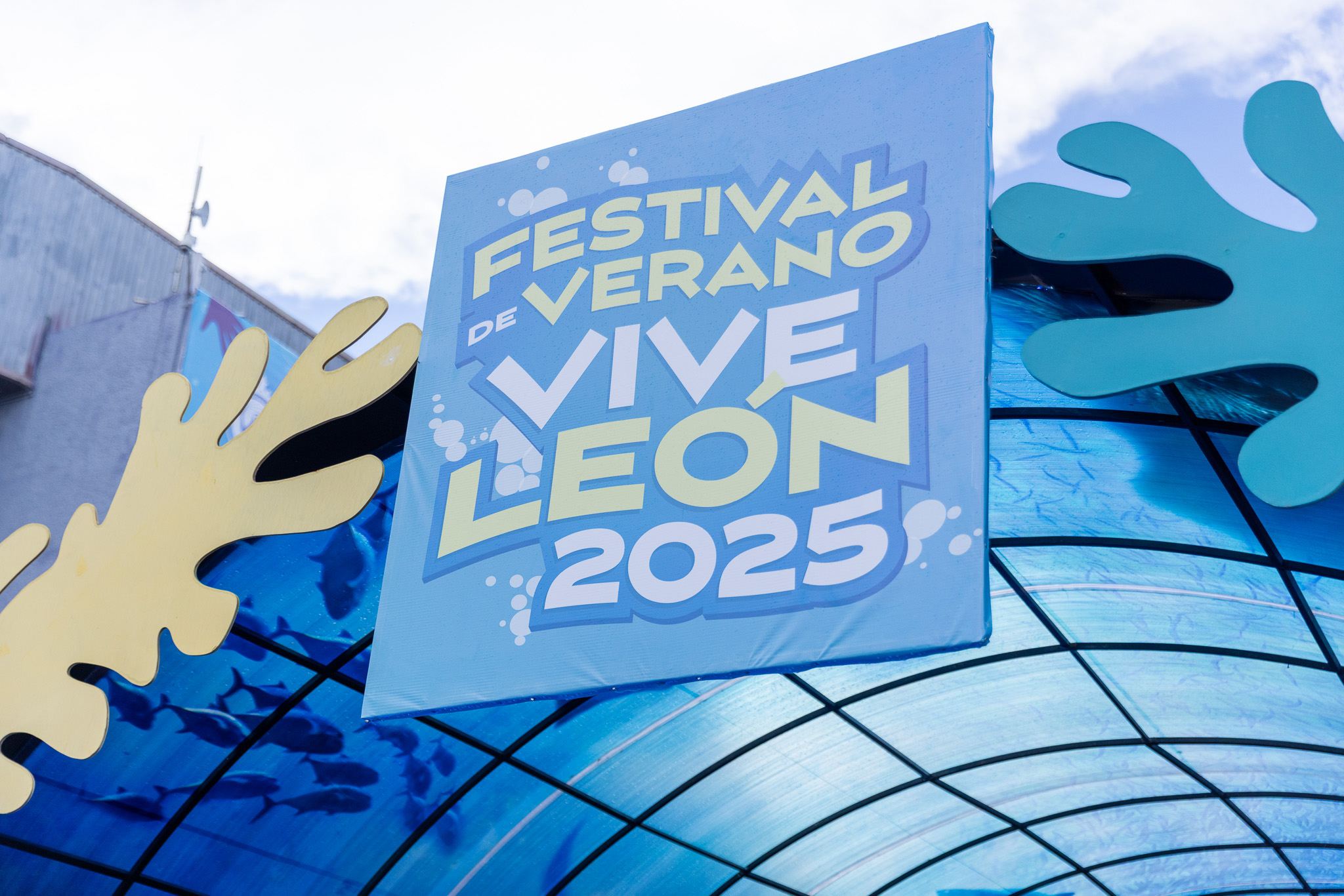 Imagen: pages/imgGaleria/Feria_20260217_130729.jpg