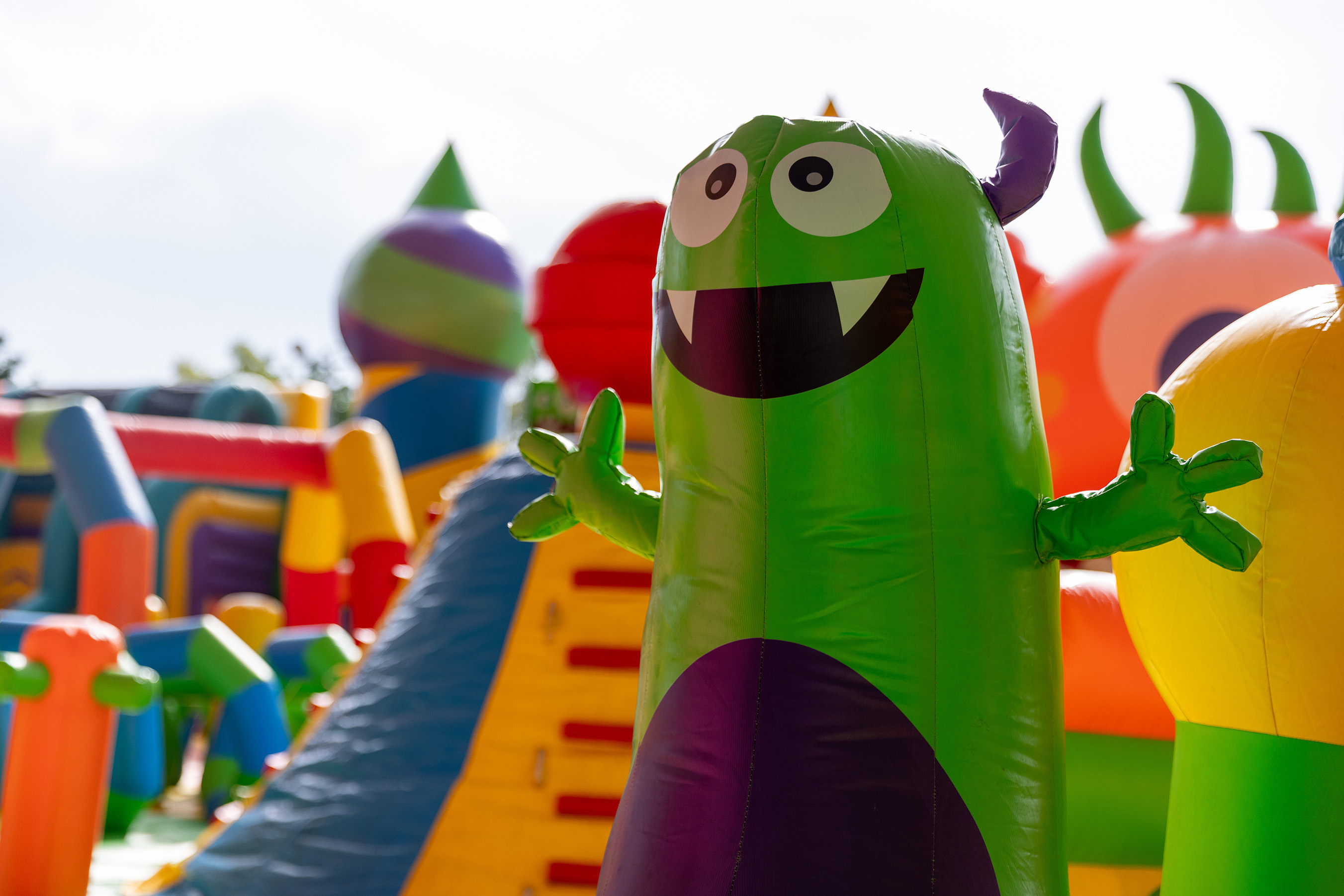 Imagen: pages/imgGaleria/Feria_20260217_130758.jpg