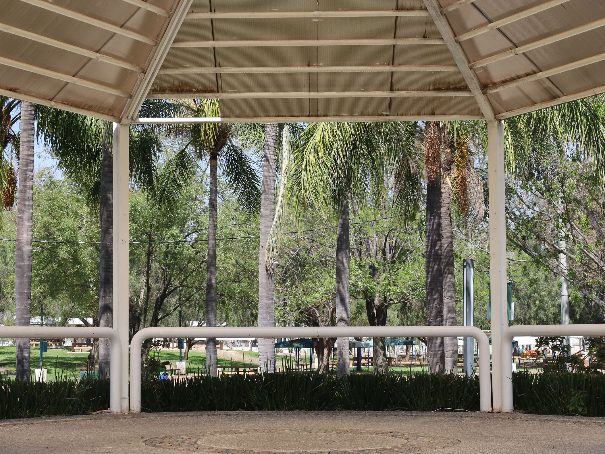 Imagen: pages/imgGaleria/Feria_20260217_134851.jpg