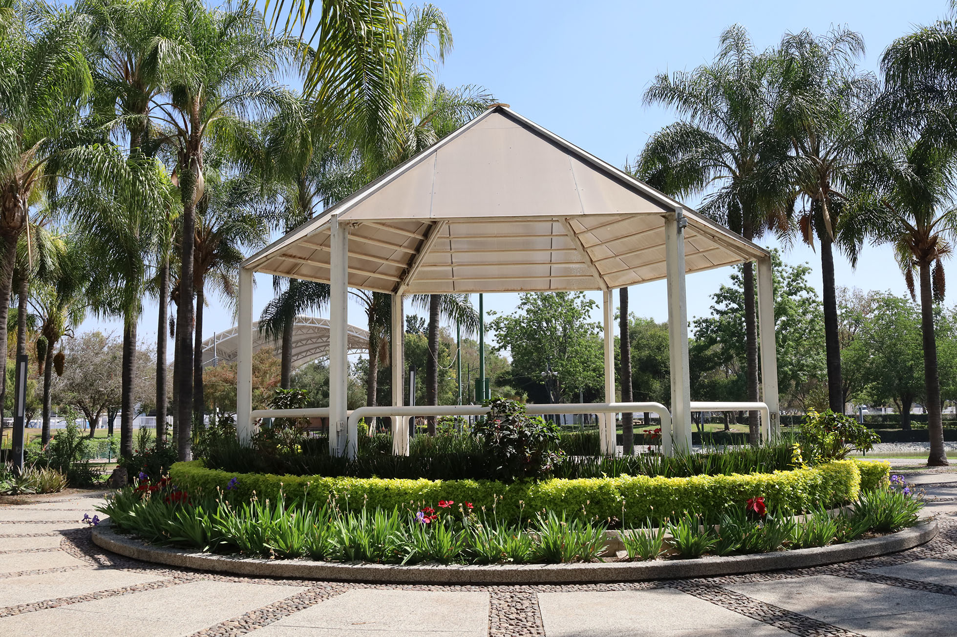 Imagen: pages/imgGaleria/Feria_20260217_134856.jpg