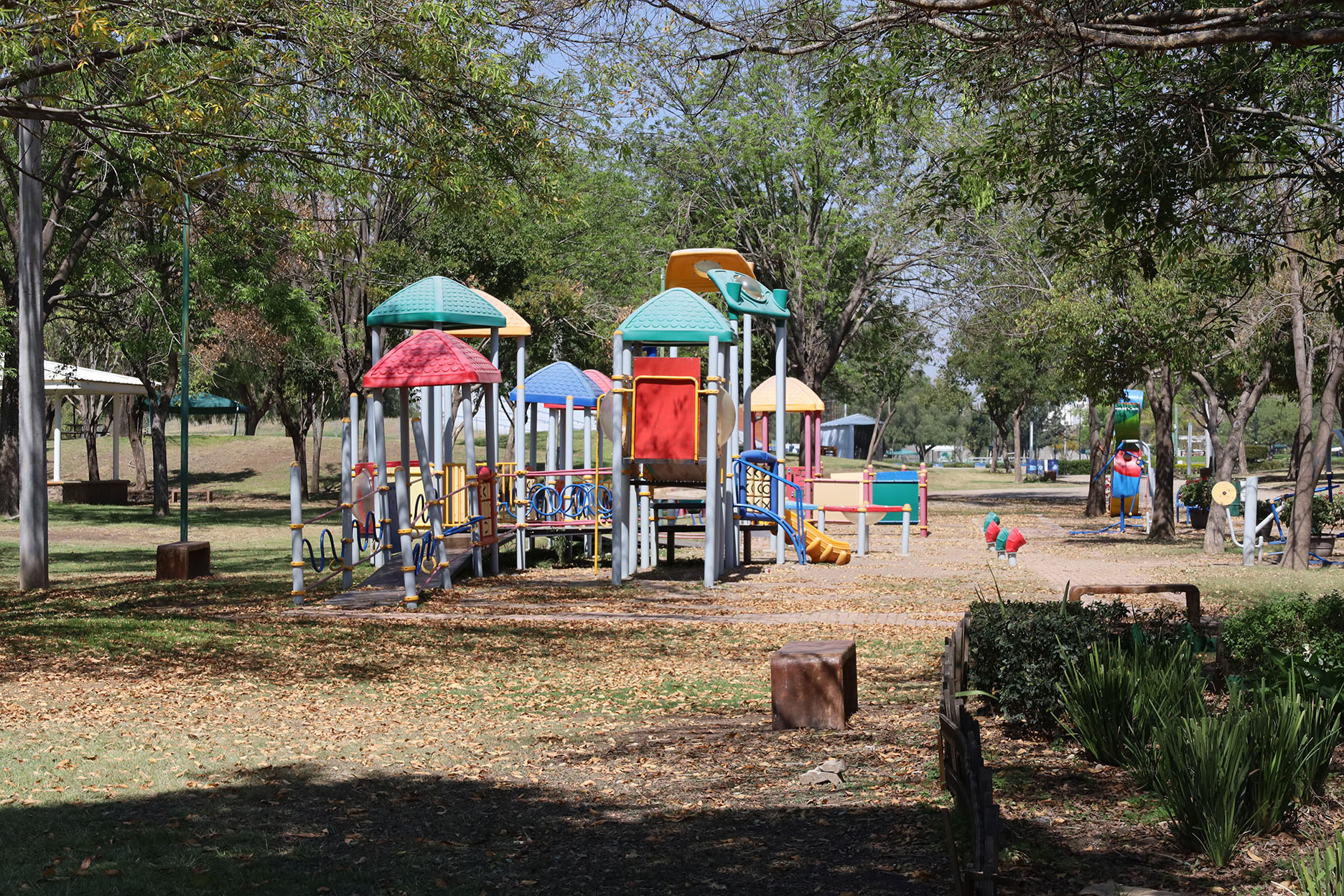 Imagen: pages/imgGaleria/Feria_20260217_135000.jpg