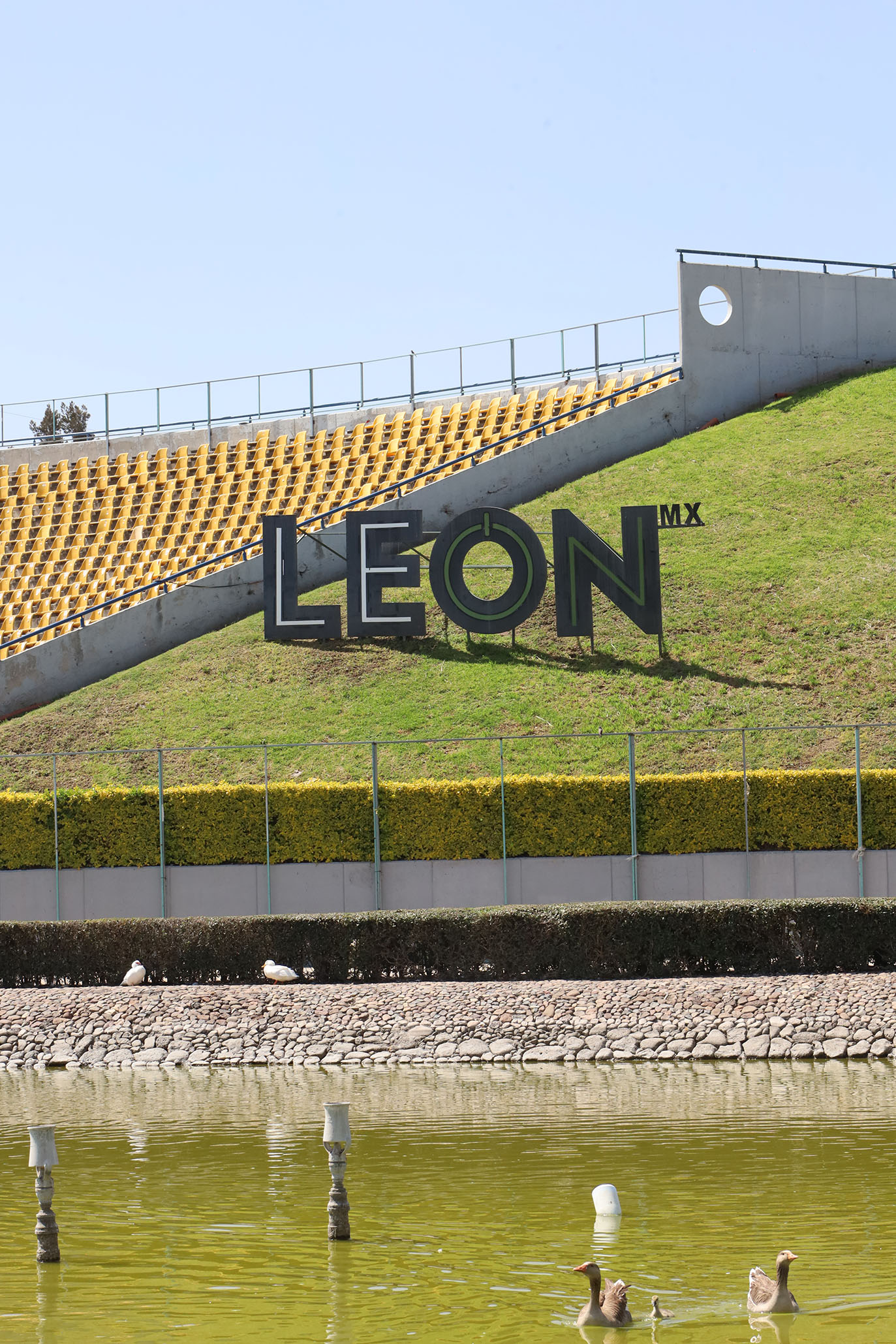 Imagen: pages/imgGaleria/Feria_20260217_135015.jpg